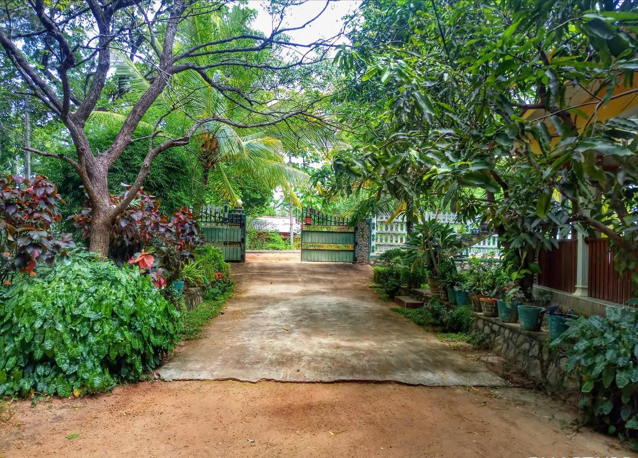 Sigiri Regal Residence Sigiriya Bagian luar foto